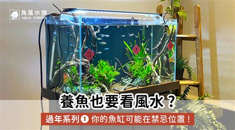 魚缸要放哪裡|【風水特輯】想催財就在家裡「這邊」放魚缸！養魚風。